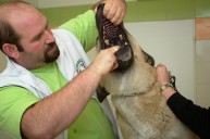 Fotografie interiérů a pacientů veterinární kliniky v Krmelíně